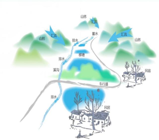 小微湿地激活自然生命——重庆梁平小微湿地修复的探索实践