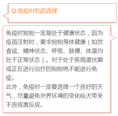 成都人！16日起开始收容禁养犬，一文看懂养狗攻略