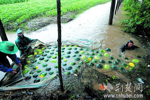 车牌充气娃娃和锦鲤 大雨后西安曾经从“海”底捞出过啥？