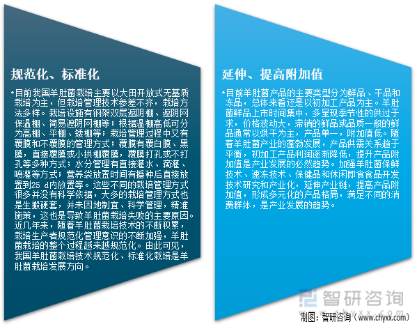 行业干货！2022年中国羊肚菌行业市场发展概况及未来前景分析