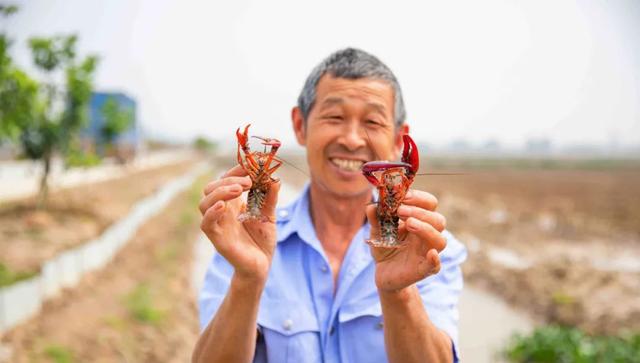 一段养小龙虾的血泪经历！想搞养殖的新手请注意，避免踩坑