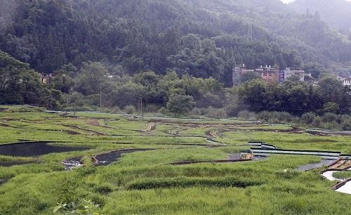 脱贫攻坚丨小龙虾“驻村”脱贫有盼头