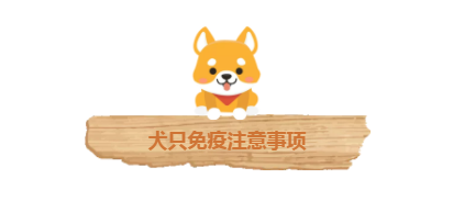 成都人！16日起开始收容禁养犬，一文看懂养狗攻略