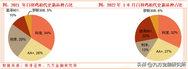 农林牧渔长期投资展望：粮食安全大主题，养殖强周期高赔率