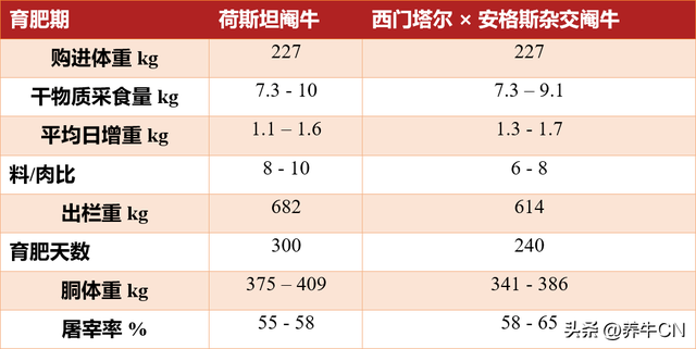 奶牛群的肉用策略分析