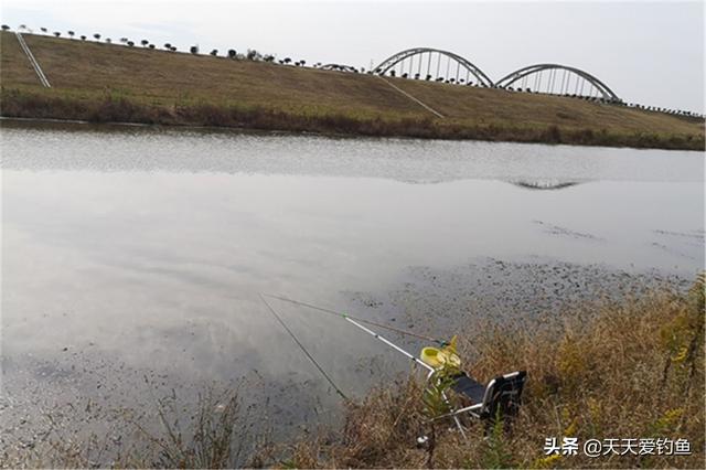 深秋钓鲫鱼，4钓4不钓，只要方法得当，半斤以上大板鲫连竿上