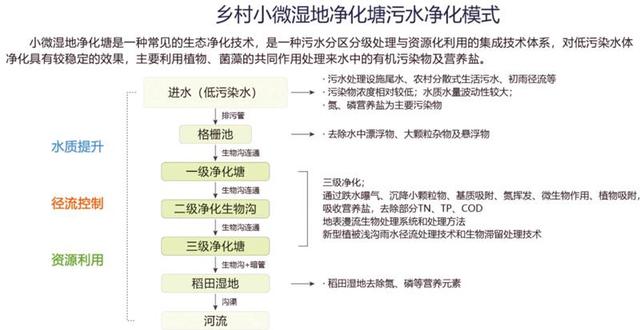 小微湿地激活自然生命——重庆梁平小微湿地修复的探索实践