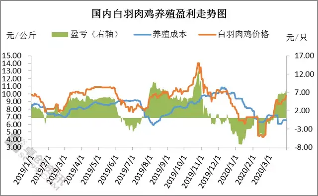 从“血亏”到“稳赚” 肉鸡养殖经历了什么？