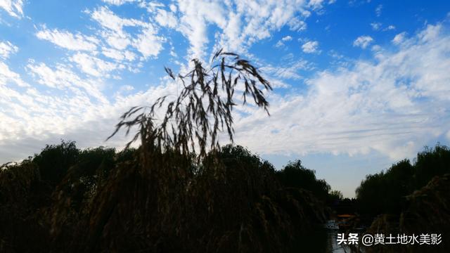 免费游览这个占地近千亩，水禽动物千余只的城市游园，感觉甚好