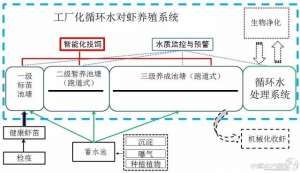 大青虾养殖(干货+详细流程南海所专家来支招，想做工厂化养虾，看这一篇就够了)