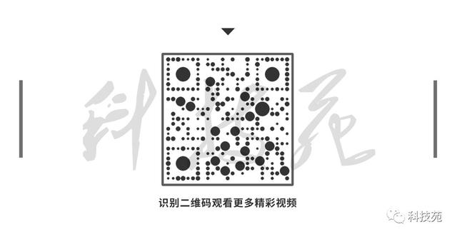 会“走”、会跳的鱼，一年带来上百万收益！