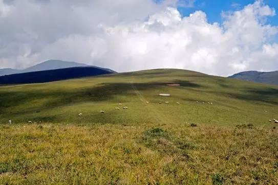 大凉山深处有美景—美姑，珍藏许久美女、美景、美石一样不少！