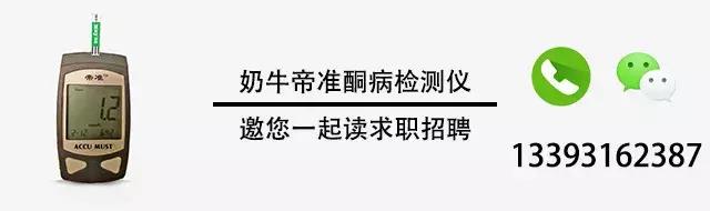 「牛牪犇」求职招聘信息汇总（2019年5月24日）