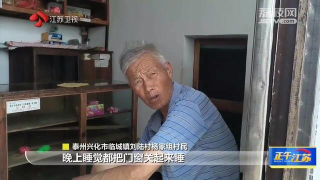 泰州兴化一黑水虻养殖场气味扰民 绿色生态项目为何“不环保”？