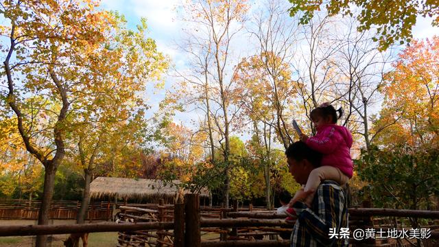 免费游览这个占地近千亩，水禽动物千余只的城市游园，感觉甚好