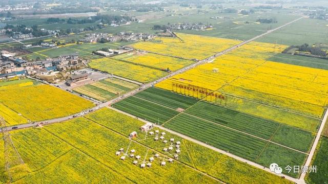 “建圈强链”这个园区预计今年产值达到18亿元