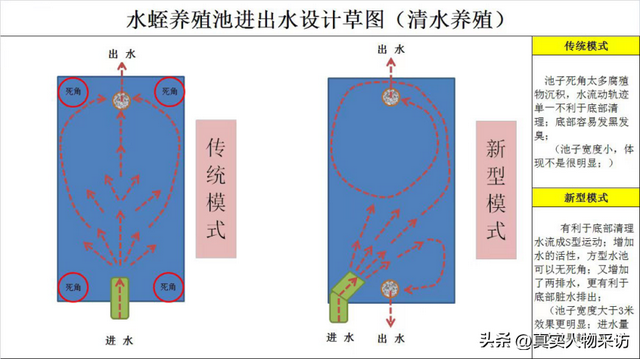 蚂蟥1斤1600，为何贵？我曾养殖一年，亏了11万，刷新对这行认知