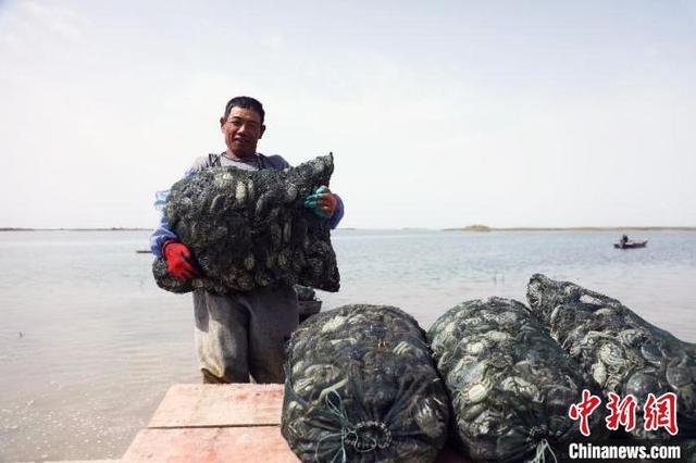 （乡村行·看振兴）借水生财！新疆兵团特色水产养殖助力乡村振兴