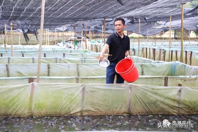 厉害！贵港这个村打造了产值3亿元的大产业