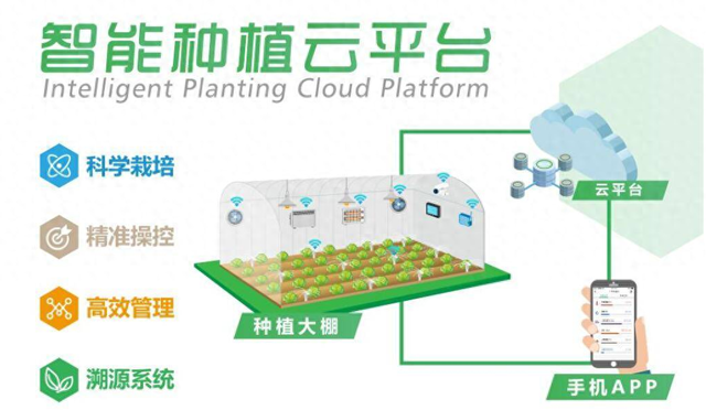 云养殖：数字化时代的新型养殖模式