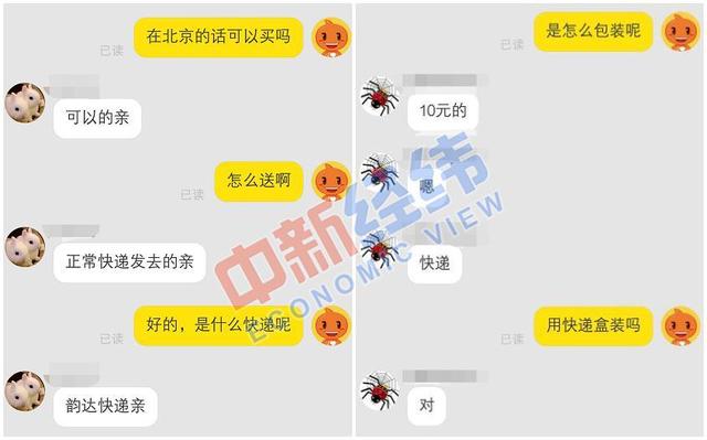 网售宠物还包邮 遇到这些“便宜”要当心了