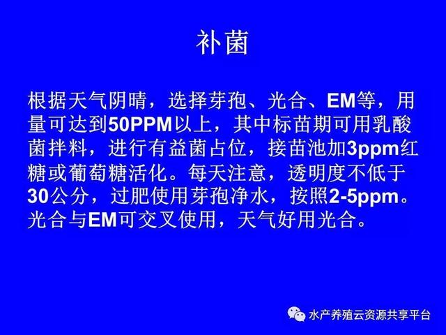 纯干货：南美白对虾工厂化养殖技术大全