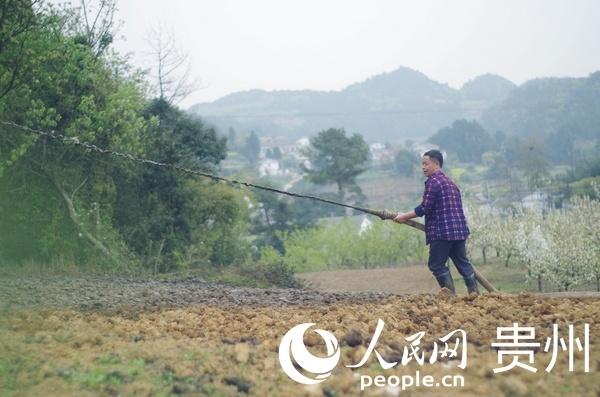 贵州好一多乳业：一盒鲜牛奶 带富千万家