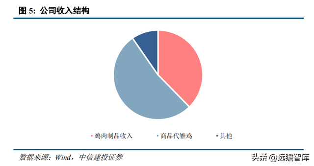 专注白鸡养殖，民和股份：景气上行，商品代雏鸡业务蓄势待发