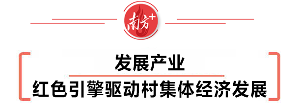 清远：织密建强组织体系，全面推进乡村振兴