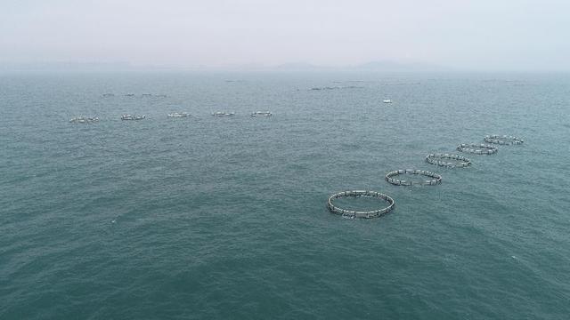 青岛昕长虹海洋生物科技有限公司简介