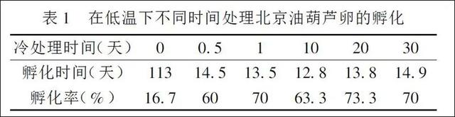 蓄养、繁殖油葫芦，温度多高最合适？