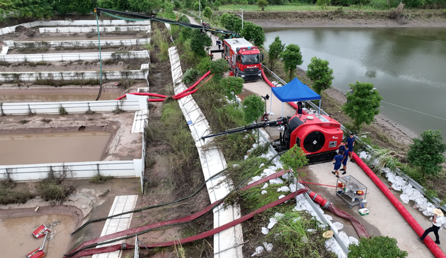 小城千人围捕鳄鱼，71条已全部查明和追回