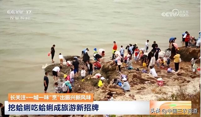 这种小海鲜成了青岛夏天的“顶流”？7小时从海底到餐桌→