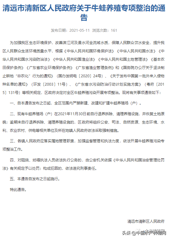 1亩最高赚40万！非法养殖会被重罚？规范牛蛙养殖，广东装备齐全