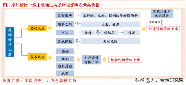 农林牧渔长期投资展望：粮食安全大主题，养殖强周期高赔率