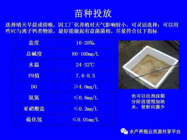 纯干货：南美白对虾工厂化养殖技术大全