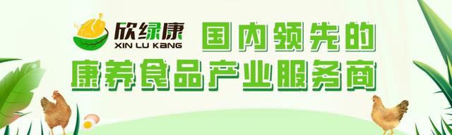 湖北省农业事业发展中心领导一行莅临考察欣绿康土鸡养殖场