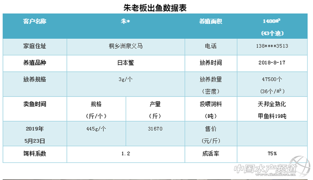 甲鱼养殖，如何进入无抗时代