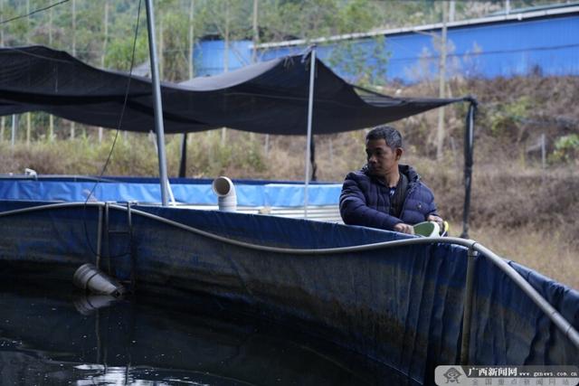 防城区扶隆镇清水鱼养殖实现“三赢”局面