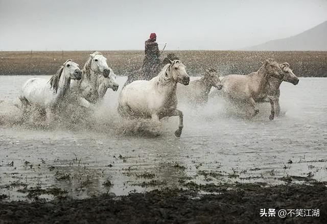 唐代关中地区养马业的变迁，为何由盛转衰，又从中得到哪些启示？