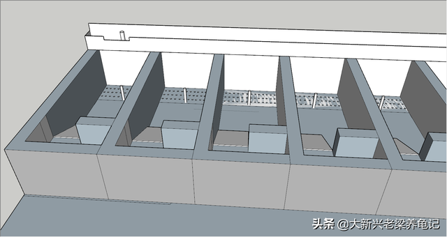 老梁龟池设计：250平方的乌龟养殖场地规划布局