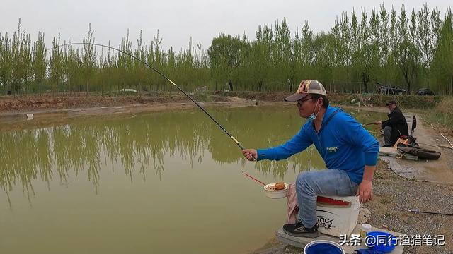 同行私人黑坑钓鲤配方，附用饵思路，轻松应对各种渔情