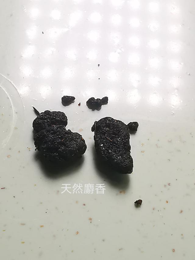 麝香直接闻起来是什么味道？