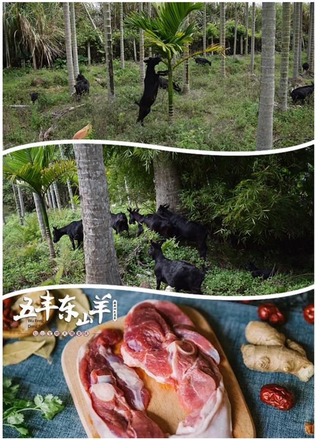 海口这私房菜都是农家好食材，看着馋虫都上脑了