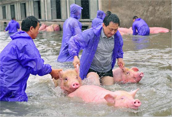 车牌充气娃娃和锦鲤 大雨后西安曾经从“海”底捞出过啥？