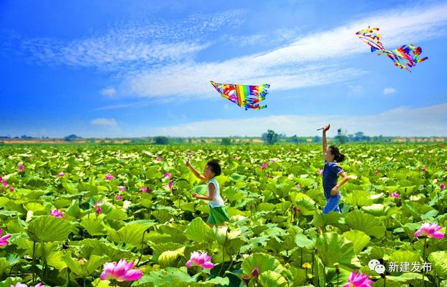 新建这个村坚定走农旅结合绿色之路！把荷塘变成聚宝盆，荷花变成摇钱树！