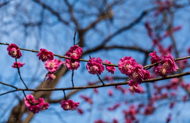 写作素材：描写花草的精彩段落，孩子写物描景作文不用愁啦