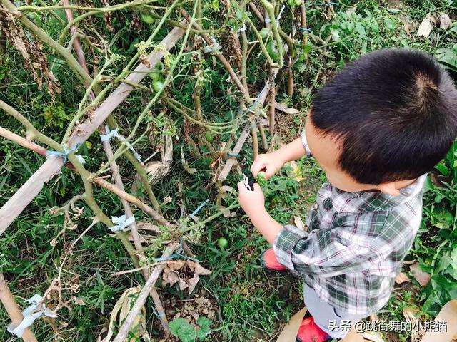 幼儿园搭简易泳池让孩子体验抓泥鳅，网友评论：我也想玩