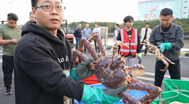 全国首艘运载超200吨帝王蟹的船舶入境，靠泊上海横沙渔港