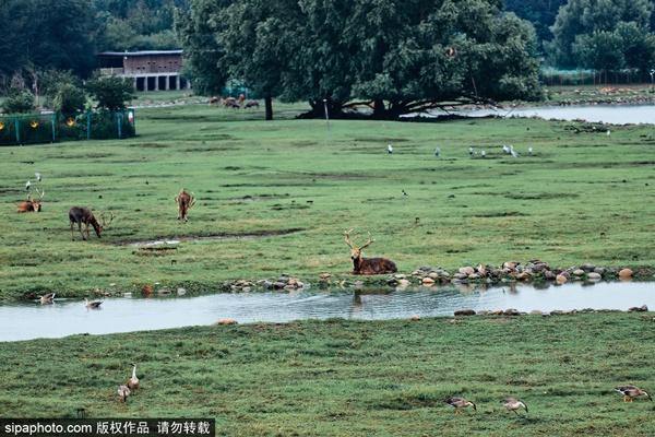 京郊避暑去哪玩？去这6个湿地公园进行一场追逐清凉之旅！